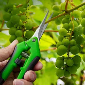 Tesoura de Poda com Cabeça Reta e Aderência Antiderrapante Multifuncional para Jardim